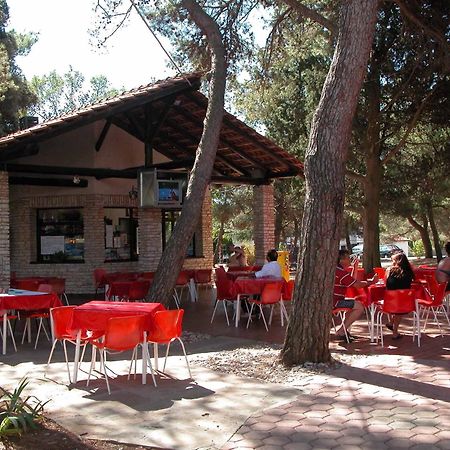 Camping Brioni Pula Dış mekan fotoğraf